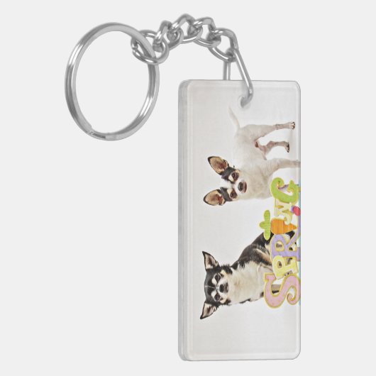 春チワフアズ キーホルダー (正面左)