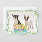 春チワフアズ ポストカード (正面/裏面)