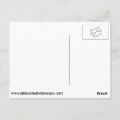 春チワフアズ ポストカード (裏面)