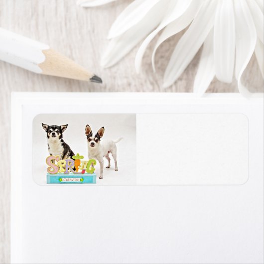 春チワフアズ ラベル (インサイチュ)