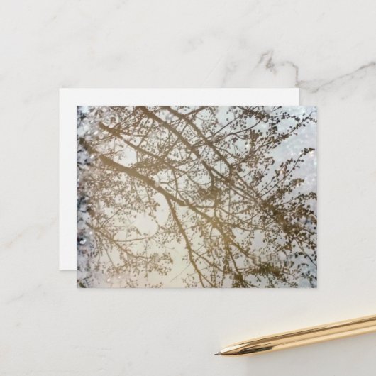 春ツリー反射バイクパスパドルカナダ ポストカード (正面/裏面インサイチュ)