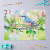 春ティッシュペーパー 薄葉紙 (クラフト)