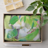 春ティッシュペーパー 薄葉紙 (ギフト)