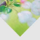 春ティッシュペーパー 薄葉紙 (詳細)