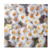 春デイジーワイルドフラワーウォーターの色 タイル (正面)