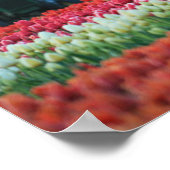 春トラクタ ポスター (角)