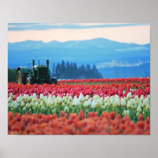 春トラクタ ポスター (正面)