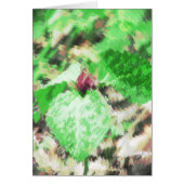 春トリリウムワイルドフラワーすべての大事な行事グリーティング (正面)