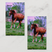 春ドリームスソレルトロット 名刺 (正面/裏面)