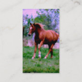 春ドリームスソレルトロット 名刺 (裏面)