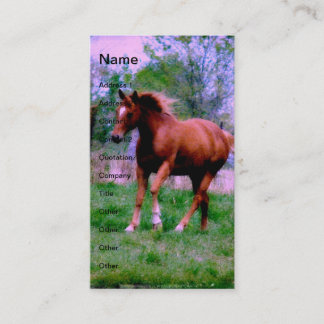 春ドリームスソレルトロット 名刺