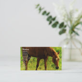 春ドリームス食べソレルの芝生 名刺 (スタンド正面)