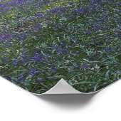 春ドーン ポスター (角)