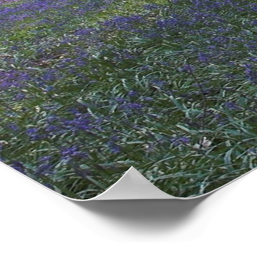 春ドーン ポスター (角)