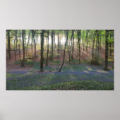 春ドーン ポスター (正面)