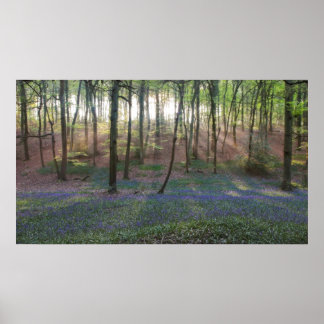 春ドーン ポスター