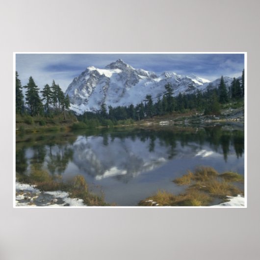 春ハイマウンテンズ ポスター (正面)