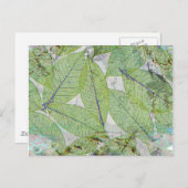 春ハススプルング ポストカード (正面/裏面)