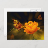 春バタフライオンバラ葉書 ポストカード (正面/裏面)