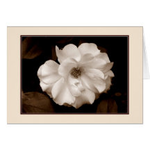 '春バラ（セピア）'グリーティングカード