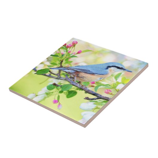 春バード – 美 タイル (側面)