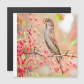 春バ食べードズベリー (正面/裏面)