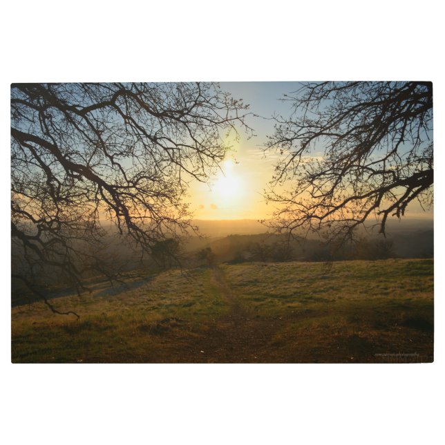 春パス メタルプリント (正面)