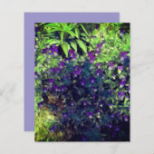 春パンジーjohnnyジャンプアップフラワークラフト紙 (正面/裏面)