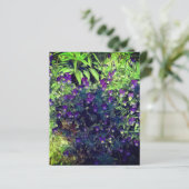 春パンジーjohnnyジャンプアップフラワークラフト紙 (スタンド正面)