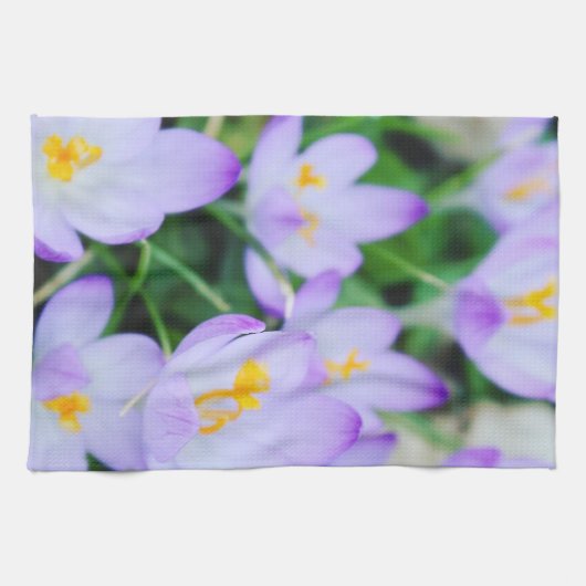 春パープルクロカス開花キッチンタオル キッチンタオル (横)