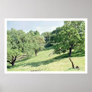 春ヒルサイド、サンノゼ（ポスター） ポスター