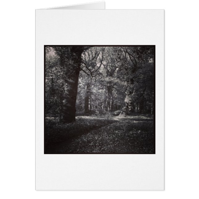 春ビュートパーク，カーディフ，ウェールズ (正面)