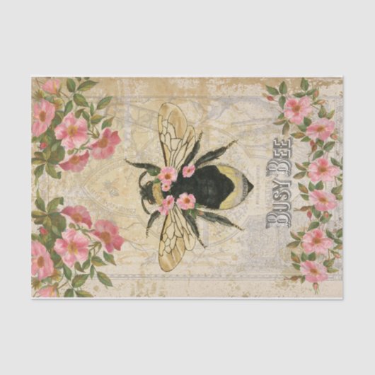 春ビー 薄葉紙 (正面)