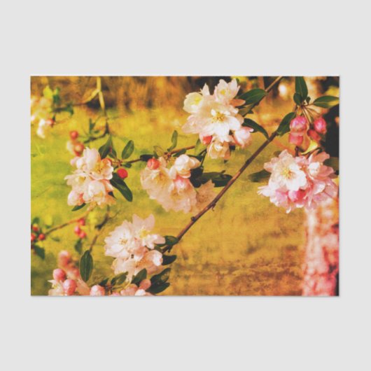 春ピンクと白の花のヴィンテージの分離 薄葉紙 (正面)