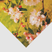 春ピンクと白の花のヴィンテージの分離 薄葉紙 (詳細)