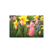 春ピンクのチューリップと黄色の紅斑花