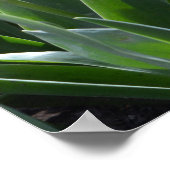 春ピンクのチューリップの花、主の祈りの言葉 ポスター (角)