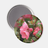 春ピンクの花の香り マグネット (正面/裏面)