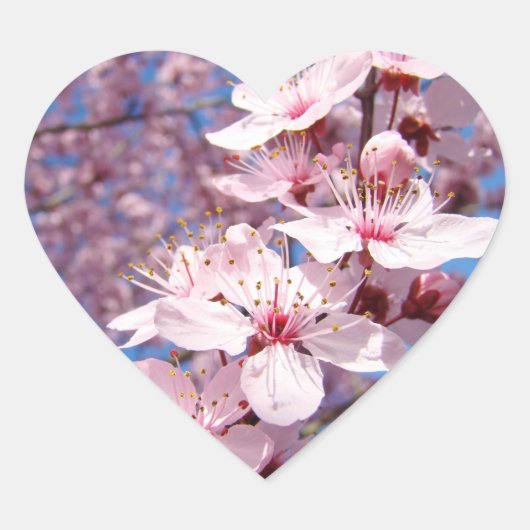 春ピンクツリー花シール ハートシール (正面)