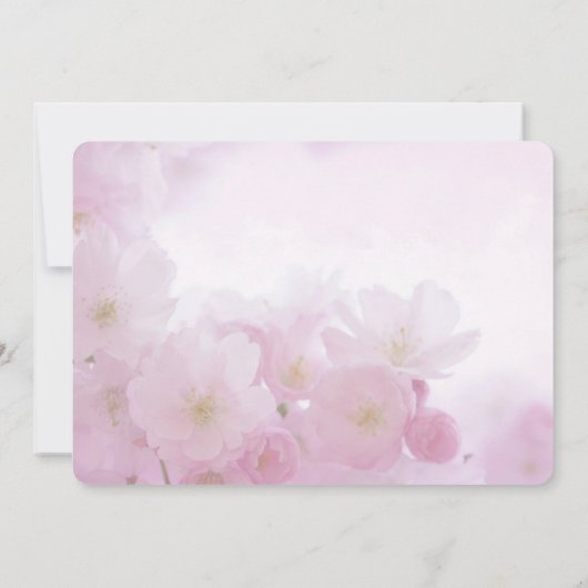 春ピンク桜、さくらんぼ花。フローラ結婚の 招待状 (裏面)