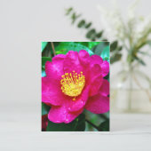 春ピンク ポストカード (スタンド正面)