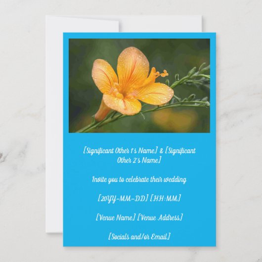 春ピーパーティリッジフラワー結婚ズ 招待状 (正面)