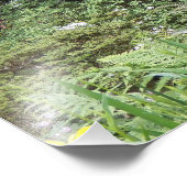 春フォレストガーデンランドスケープ フォトプリント            (角)