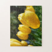 春フライ！ ジグソーパズル (縦)