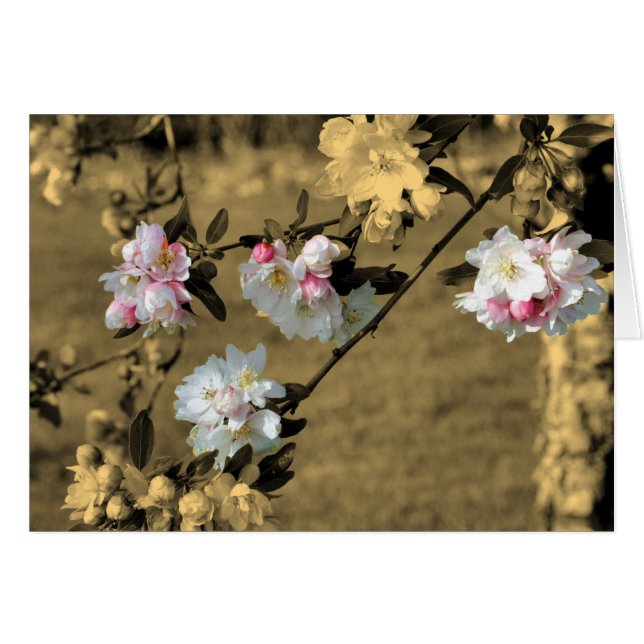 春フラワーズオンセピアフラワーカード (正面横)