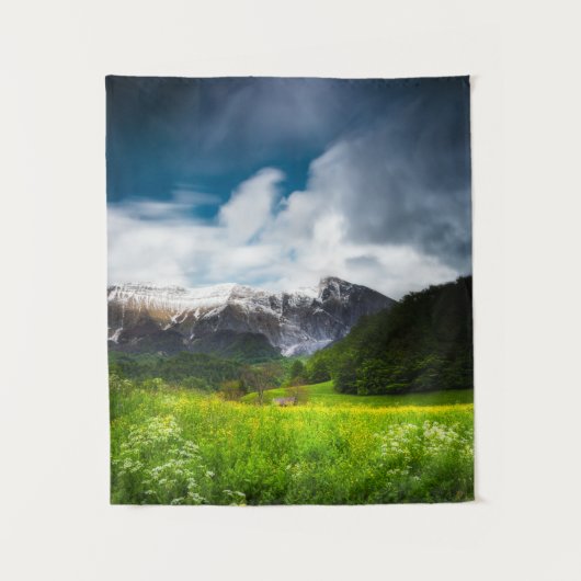 春フラワーフィールドの下マウンテンカーン タペストリー (正面)