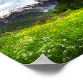 春フラワーフィールドの下マウンテンカーン ポスター (角)