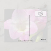 春フリーシア ポストカード (裏面)