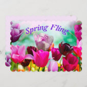 春フリートチューリップフローラ (正面/裏面)