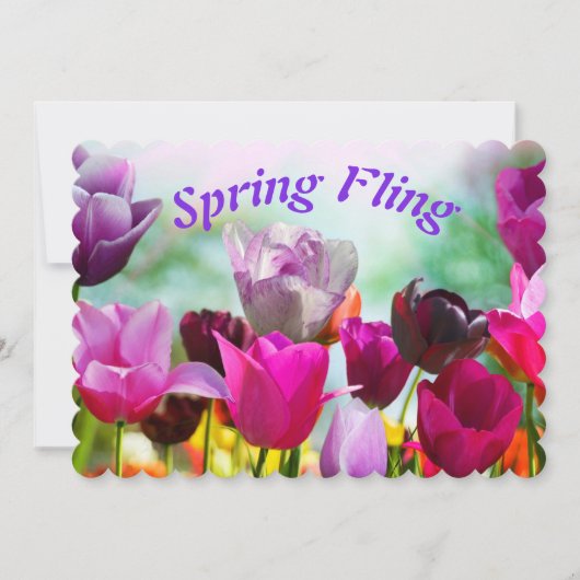 春フリートチューリップフローラ (正面)